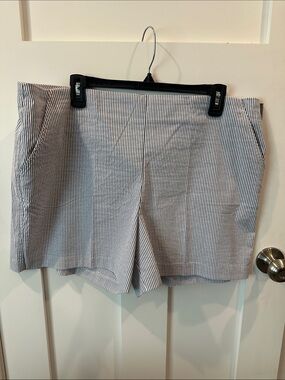 Women's Blue and White Pinstripe Shorts